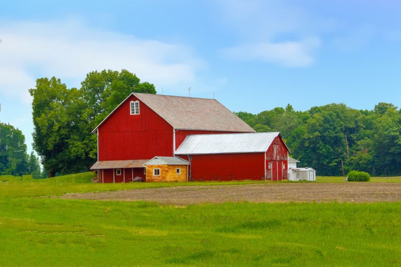 Barn Painting Service