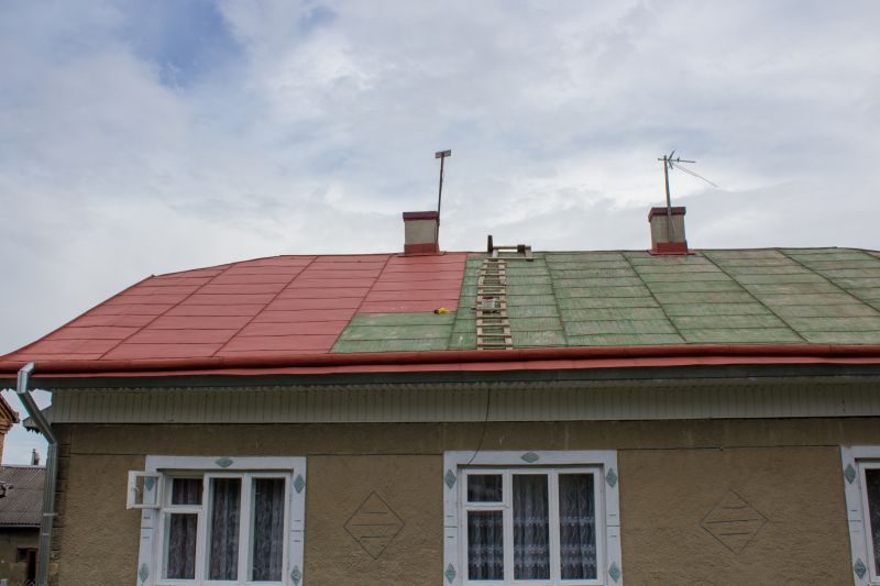Roof Painting Service