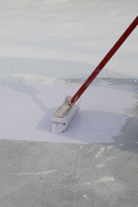 Roof Painting Service